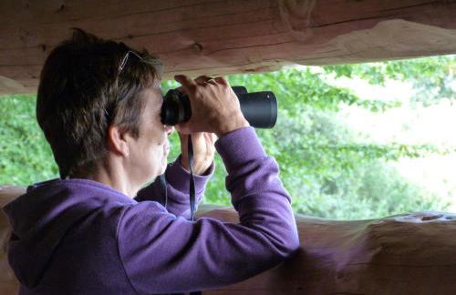 Au clos de marie - Foto 24