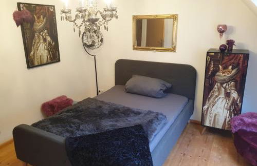 Wonderworld - Foto 30