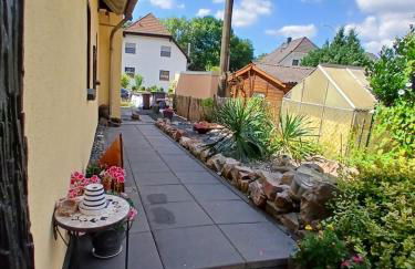 Chillkröte - Foto 63