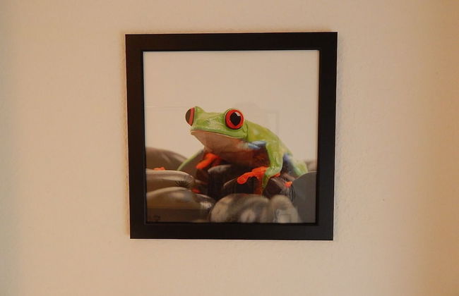 Ferienwohnungen Uni-Koblenz - Photo 41