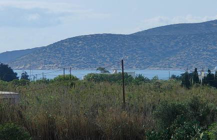 Scarpathia House - Foto 31