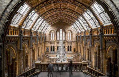 Contemporary Fulham Penthouse with Large Balcony - Pass the Keys - Foto 35