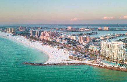 2 MI to USF Pet Friendly & Budget Friendly - Foto 44