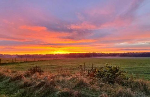 1 Bedroom Stunning Home In Rekowo - Foto 12