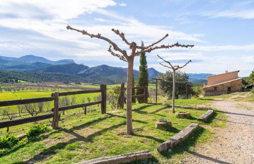 La Pallisa - Foto 28