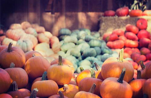 Fairfield Cottage -Top Rated Gem, Fire Pit, Near Beach, 90 Min to NYC - Foto 54