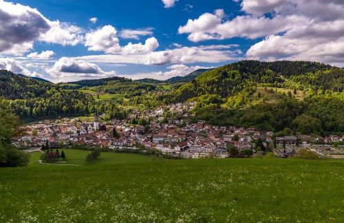 Ferienwohnung Traumblick - Foto 13