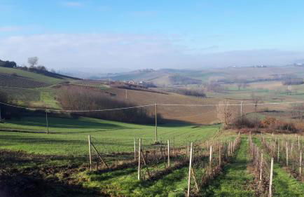 Monferrato vini castelli - Foto 15