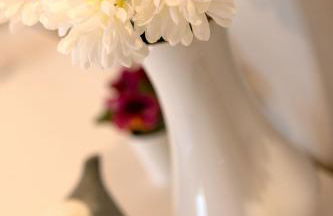 Camping Camplani - Foto 54