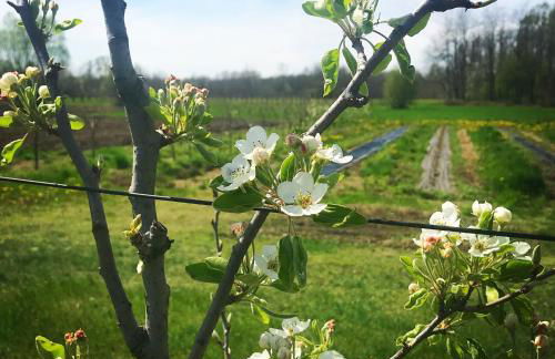 Agriturismo La Biandrina - Foto 71