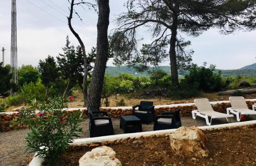 CASA RIBAS - Photo 10