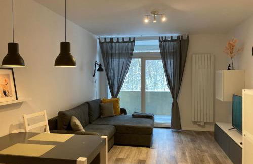 Appartement ComfortZone im Harz mit Sauna und Pool - Foto 7