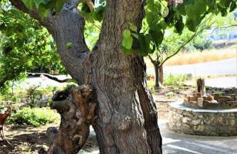 Dolichi House - Foto 25