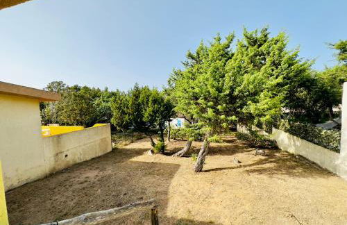 Bilocale a due passi dalla piazza di Rena Majore - Foto 6