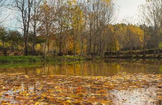 La Vila Argençola, casa rural a la Catalunya Central - Foto 61