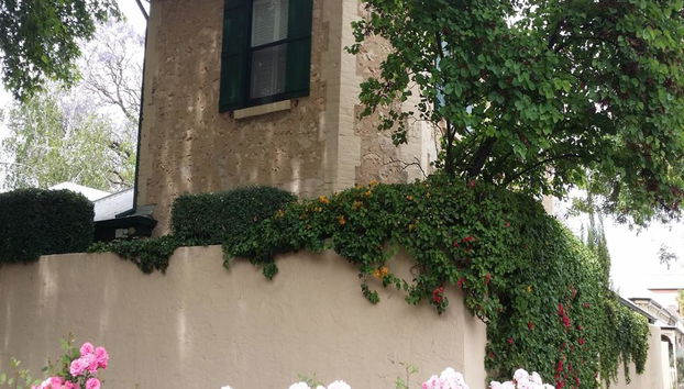 Grandes demeures et North Adelaide historique - Visite à pied - Photo 2