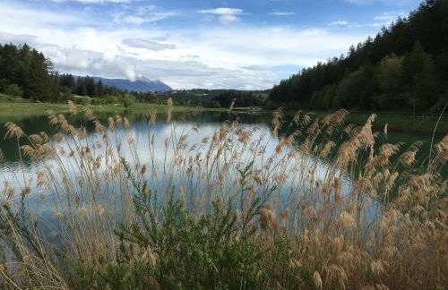 Pineta Natural Chalet - Foto 45