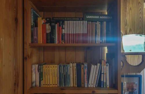 Kałamunka - Foto 17