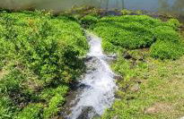 Susquehanna Waterfall Haven - Foto 7