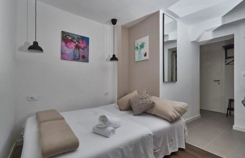 Aspidistra Shadow - Foto 8