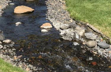 Riley`s Mountain View - Foto 33