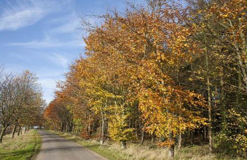 Great Barn - Foto 25