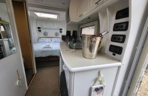 Glamping With Llamas - Foto 82