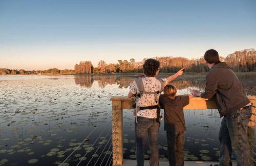 Lakefront Mansion on 10 Acres - Sleeps 15-45 - Foto 34