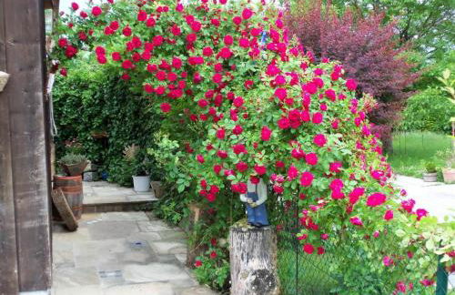 Gästehaus Schlossblick - Photo 9