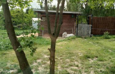 Chatka Święty Spokój - Foto 11