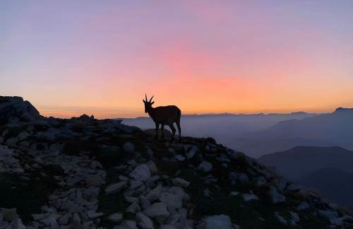 Gîte Crème - Foto 15