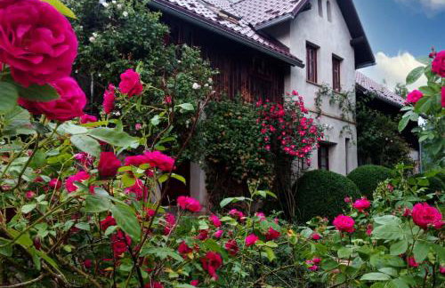 Dom Geologa - Foto 14