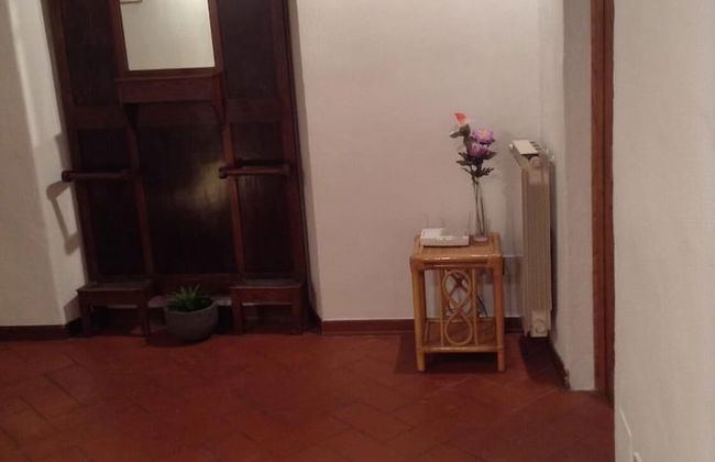 Vellutini Number One - Foto 8