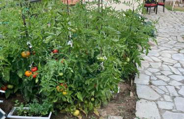 Sea Side View - Foto 21