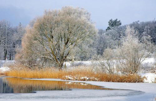 Seeresidenz Klink - Foto 29