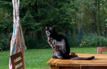 ArtHouse Pelnik - Photo 16