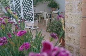 Stella Dei Campi - Foto 20