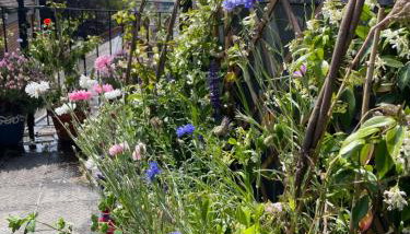 Epic Location, Views & Large Private Terrace - Photo 5