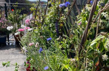 Epic Location, Views & Large Private Terrace - Photo 5