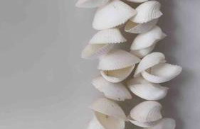 Apto Novo Bombinhas - UMA QUADRA DO MAR! - Photo 16