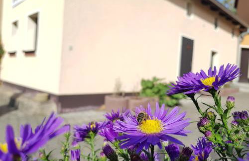 Ferienhaus Balkenkunst - Foto 37