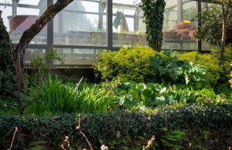 Quinta de Mourães Casa dos Rododendros - Foto 34