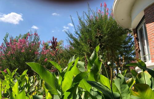 Maison Art Deco-5 salles de bains, 1 suite, piscine, clim, parking - Foto 39