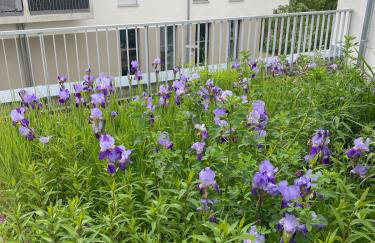 Helle Wohnung S-Bahnnähe München - Foto 7