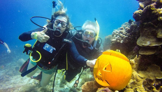 Diving adventure at Catalina Island - Foto 2