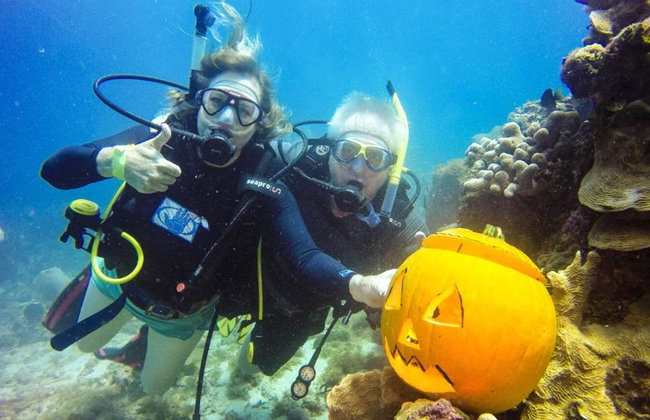 Diving adventure at Catalina Island - Foto 2