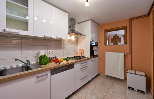 Stunning Home In Vinica Breg With Sauna - Foto 9