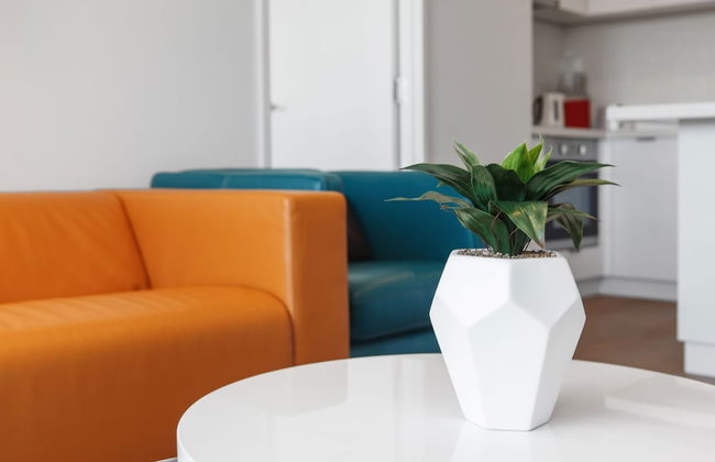 Ilixir Apartments by Ready Set Host - Foto 13