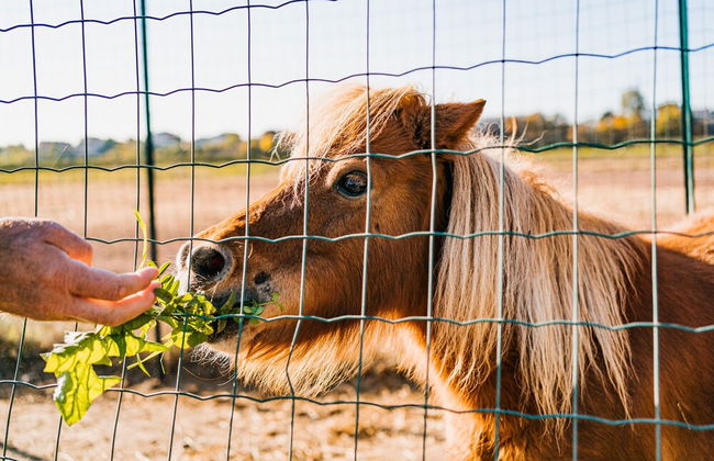 La Tenuta di Santo Stefano Agri Resort & Spa - Foto 57