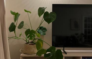 The Shades - Bliss In The Heart of Windermere - Photo 8